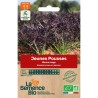 JEUNES POUSSES MIZUNA Rouge - Graines BIO |  | Graines et Bio
