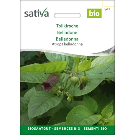 BELLADONE - Graines BIO | Sativa | Graines et Bio