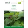 BELLADONE - Graines BIO | Sativa | Graines et Bio