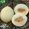 MELON BLANC "Douceur de L'Arc" - Graines BIO | La Semence Bio | Graines et Bio