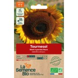 TOURNESOL GÉANT - Graines BIO | La Semence Bio | Graines et Bio