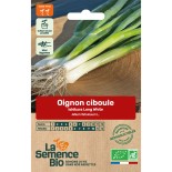 OIGNON CIBOULE Ishikura Long White - Graines BIO | La Semence Bio | Graines et Bio