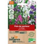 POIS DE SENTEUR en Mélange - Graines BIO | La Semence Bio | Graines et Bio
