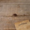 MONARDE BERGAMOTE SAUVAGE - Graines non traitées | Ferme de Sainte Marthe | Graines et Bio