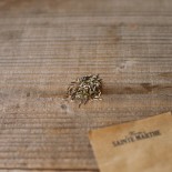 TAGÈTE PASSION - Graines BIO | Ferme de Sainte Marthe | Graines et Bio