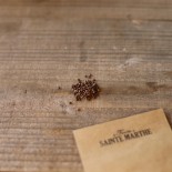 SAUGE DES PRÈS - Graines BIO | Ferme de Sainte Marthe | Graines et Bio