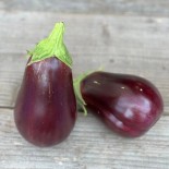 AUBERGINE BLACK BEAUTY - Graines BIO | Ferme de Sainte Marthe | Graines et Bio