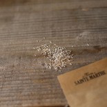 LAITUE BATAVIA Dorée de Printemps - Graines BIO | Ferme de Sainte Marthe | Graines et Bio