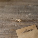 TOMATE PETIT COEUR DE BOEUF - Graines BIO | Ferme de Sainte Marthe | Graines et Bio