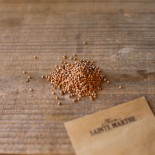 RADIS FLAMBOYANT 2 - Graines BIO | Ferme de Sainte Marthe | Graines et Bio