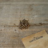 SOUCI Pink Surprise - Graines BIO | Ferme de Sainte Marthe | Graines et Bio