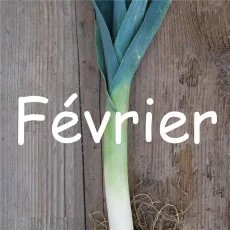calendrier semis fevrier