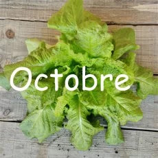 calendrier semis octobre