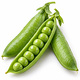 Petits Pois
