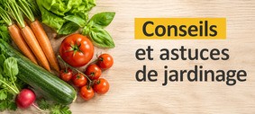 Conseils et astuces de jardinage